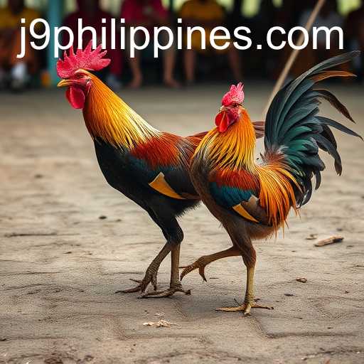 Exploring the World of Sabong Games: A Deep Dive into J9 Philippines